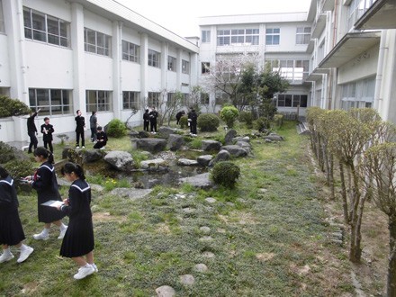 学校ビオトープ(中庭)　郷里の泉