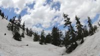 5月5日　弥陀ヶ原カルデラコース　立山花子