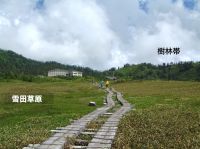弥陀ヶ原の植生２