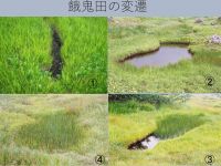 餓鬼田の変遷