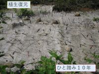 植生復元