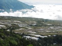 弥陀ケ原湿原全貌