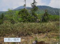 弥陀ヶ原の小丘
