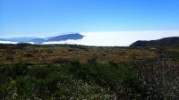 令和3年10月15日　天狗平から弥陀ヶ原　薬師太郎